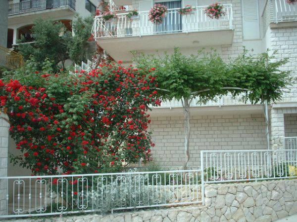 Lana Apartments Trogir Exterior photo